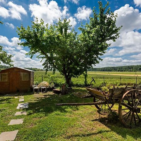 Domaine Du Bois Des Anges Bed & Breakfast Germigny-l'Eveque Bagian luar foto