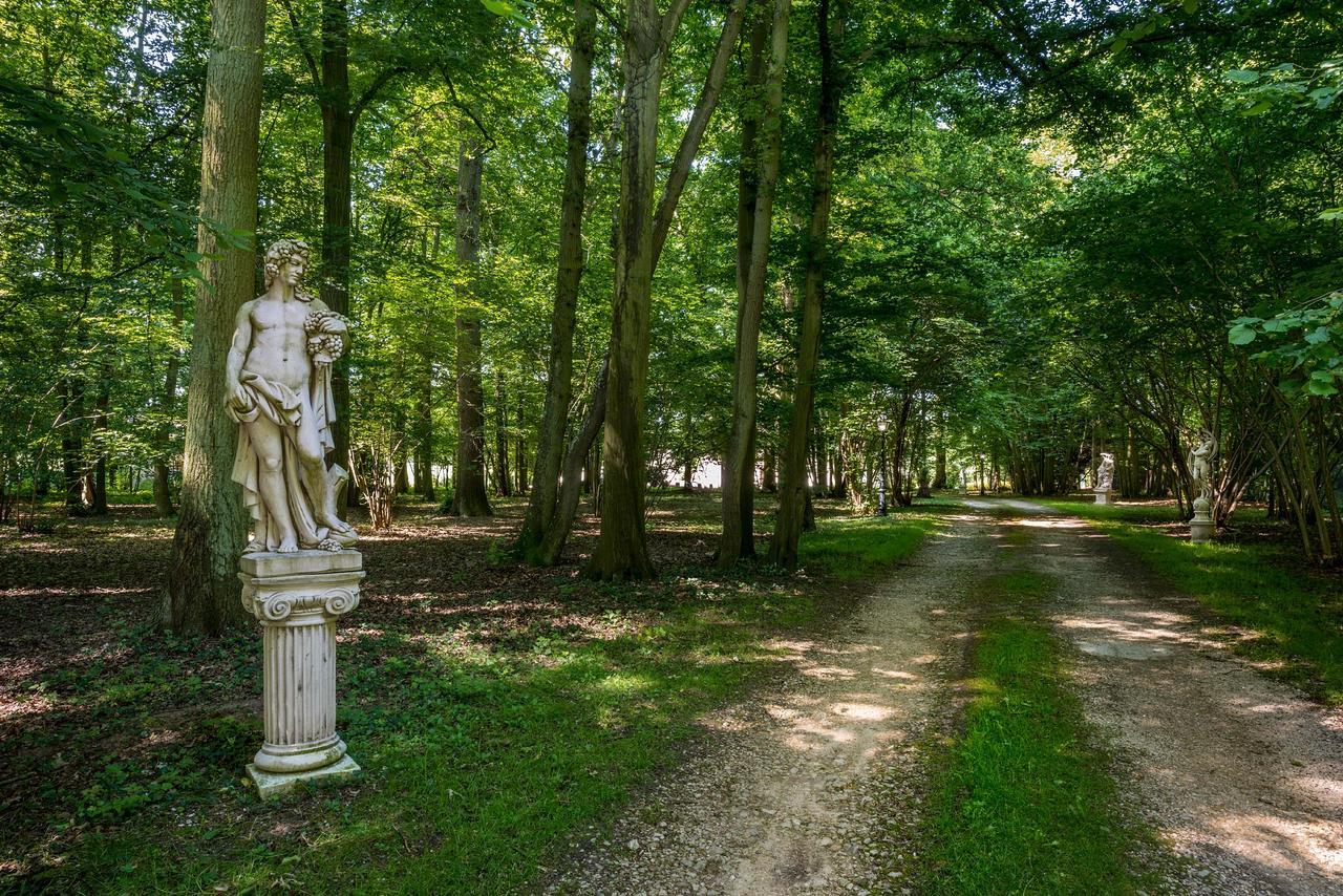 Domaine Du Bois Des Anges Bed & Breakfast Germigny-l'Eveque Bagian luar foto