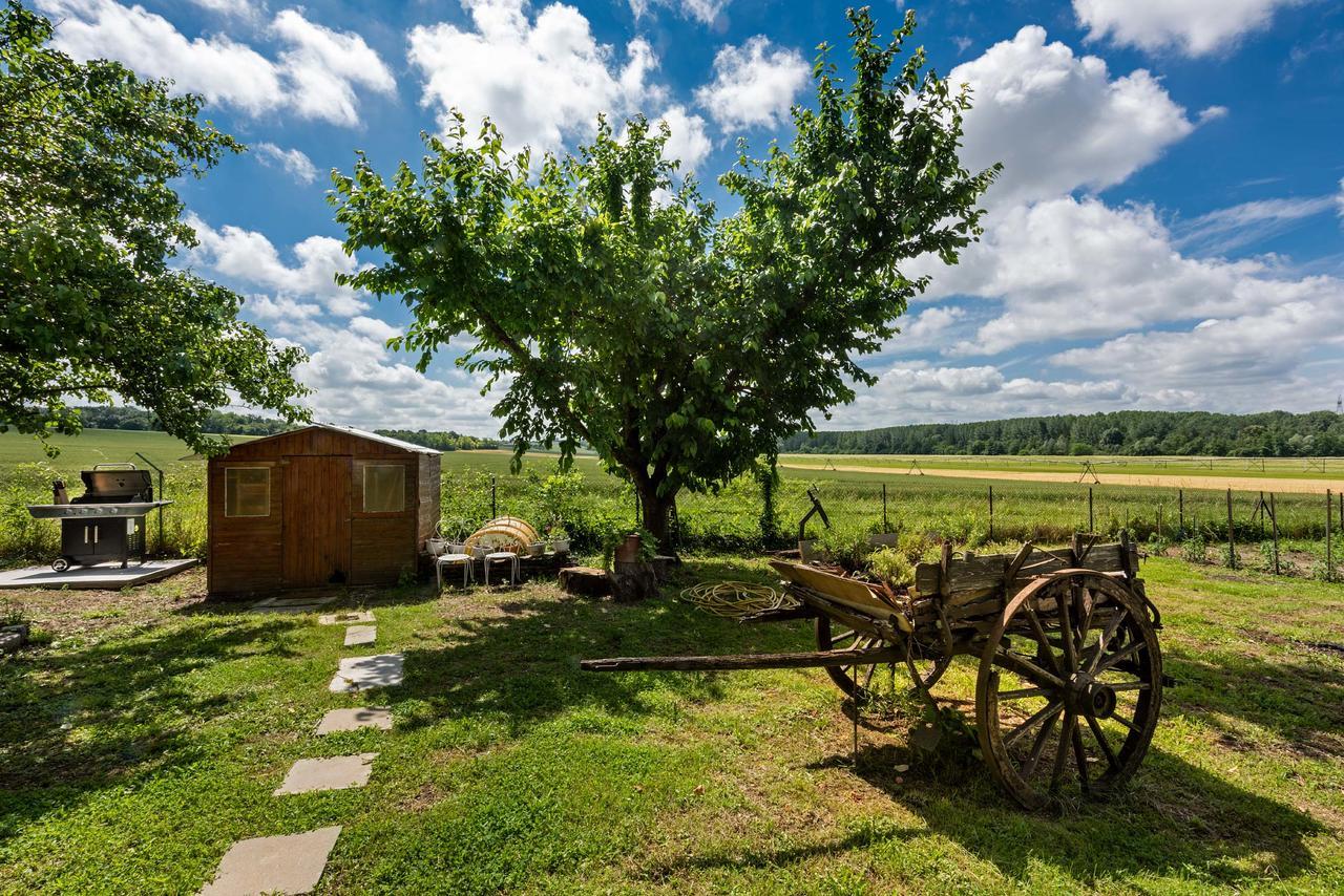 Domaine Du Bois Des Anges Bed & Breakfast Germigny-l'Eveque Bagian luar foto